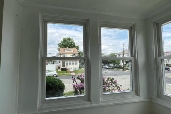 WhatsApp Image 2026-01-17 at 12.56.08 PM